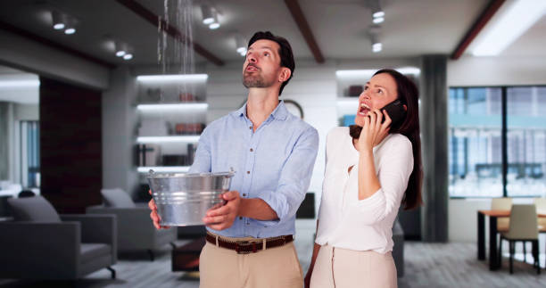 Best Water damage repair service  in USA